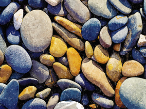 Beach Rocks