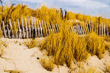 Load image into Gallery viewer, Cape Cod Dunes
