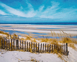 Low Tide in Maine