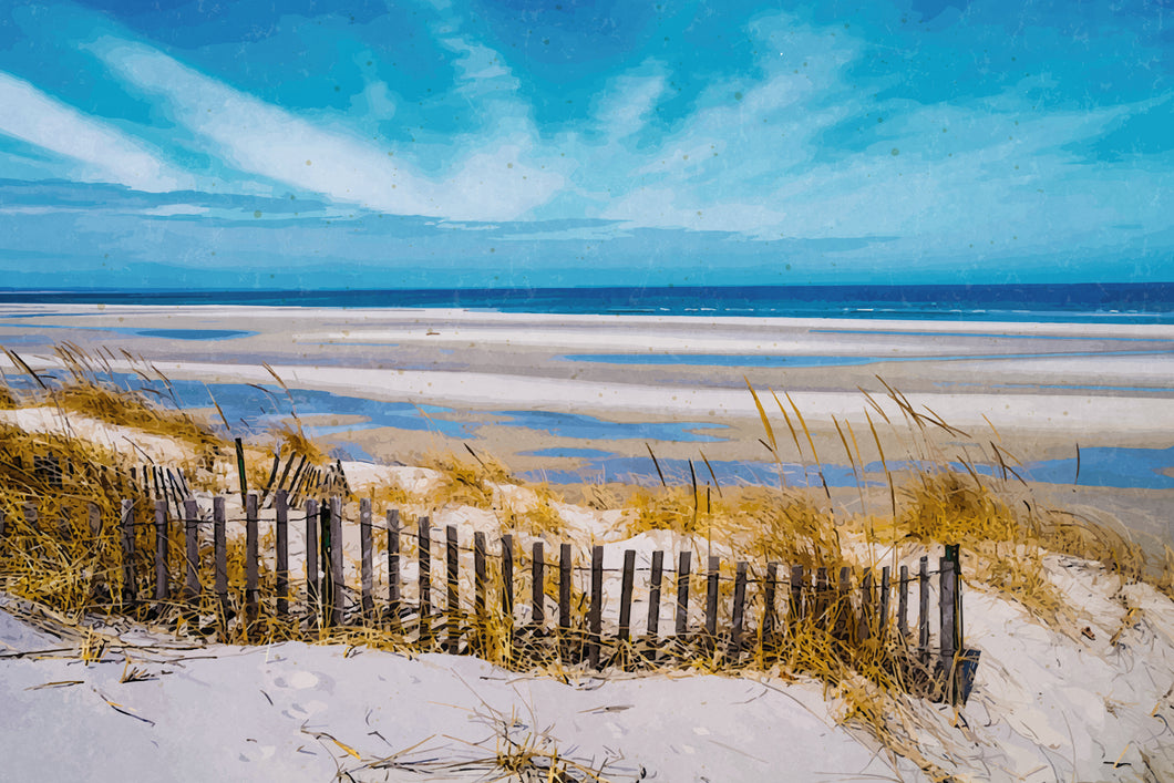 Low Tide in Maine