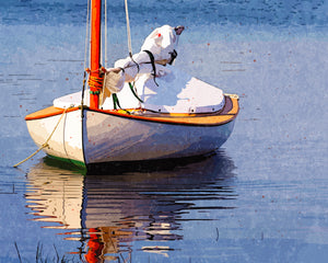 Martha's Vineyard Sailboat