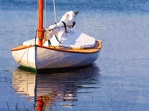 Martha's Vineyard Sailboat